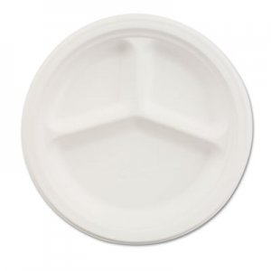 Chinet Paper Dinnerware, 3-Comp Plate, 9 1/4" dia, White, 500/Carton HUH21228 21228
