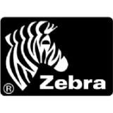 Zebra Print Server P1031031