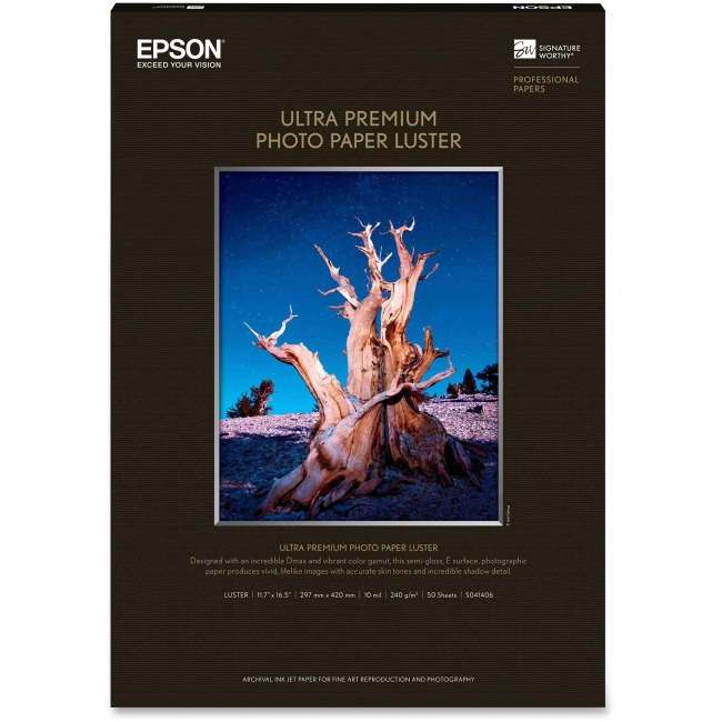 Epson Photographic Papers S041406