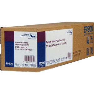 Epson Premium Glossy Photo Paper S042076