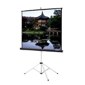 Da-Lite Picture King Portable and Tripod Projection Screen (Gray Carpeted) 76753