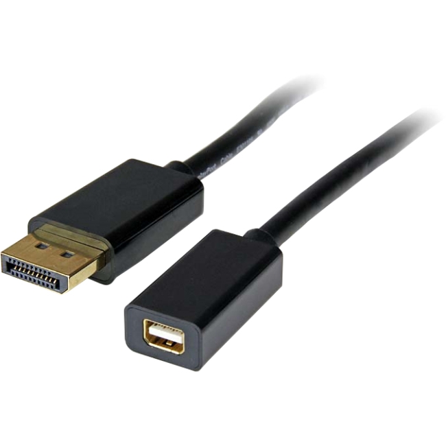 StarTech.com 3 ft DisplayPort to Mini DisplayPort Cable Adapter DP2MDPMF3