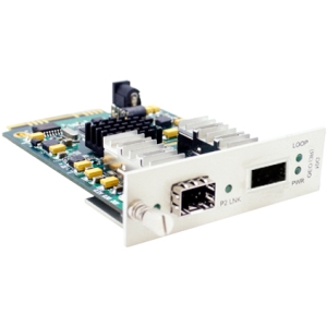 AddOn 10G OEO Converter with SFP+ & XFP slots Media Converter Card ADD-MCC10GXSFP