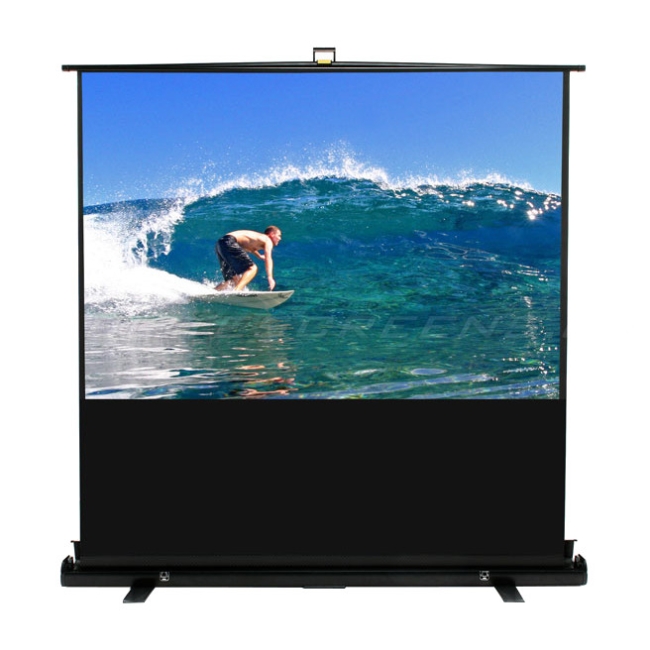 Elite Screens ezCinema Plus Projection Screen F74XWV1