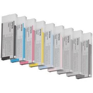 Epson Photo Black Ink Cartridge T606100