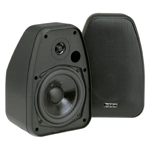 BIC Indoor/Outdoor Speaker ADATTODV-52SIB