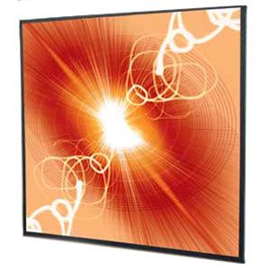 Draper Cineperm Manual Wall and Ceiling Projection Screen 251013