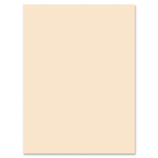 Pacon Medium Weight Tagboard Paper 5190 PAC5190