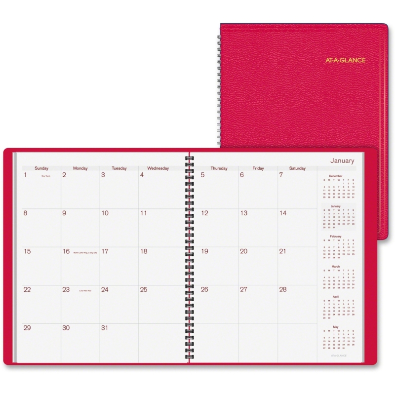 At-A-Glance Wirebound Monthly Appointment Book 7025013 AAG7025013