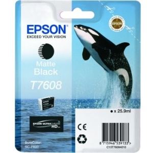 Epson Ultrachrome HD Ink Cartridge T760820 T760