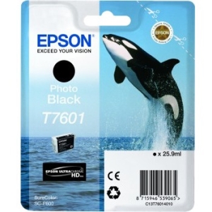 Epson Ultrachrome HD Ink Cartridge T760120 T760