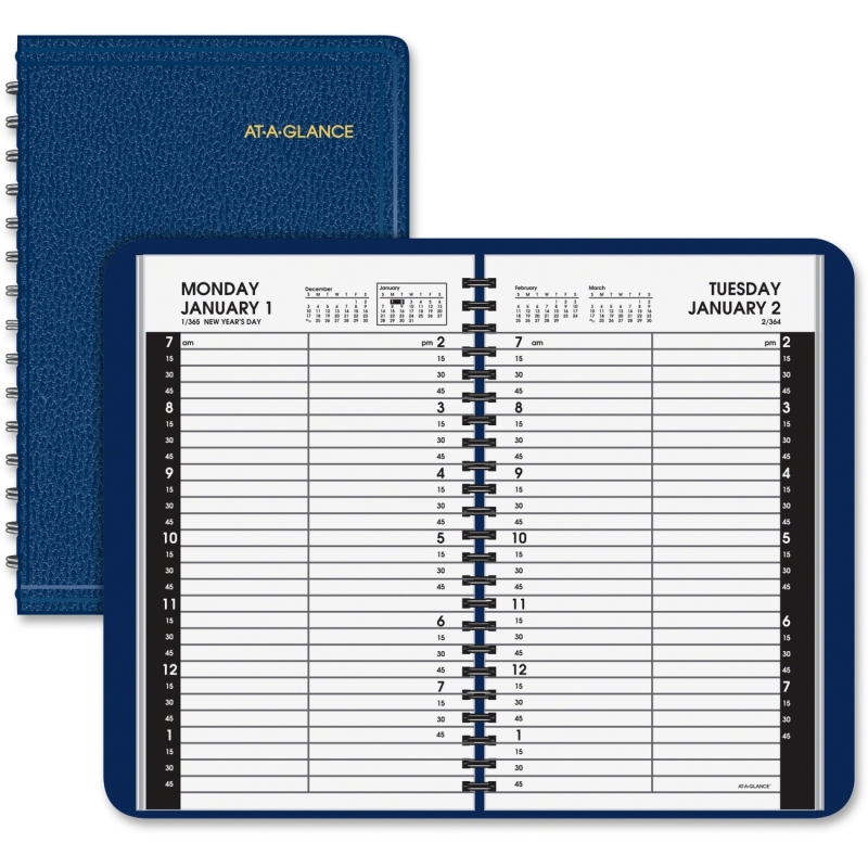 At-A-Glance Classic Size Daily Appointment Book 70-800-20 AAG7080020