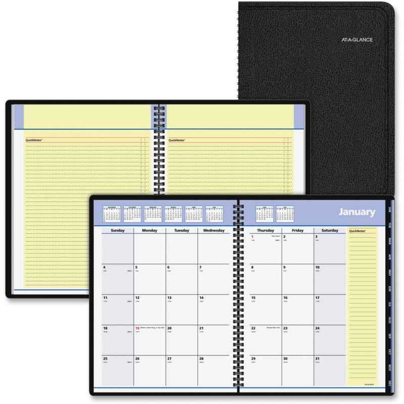 At-A-Glance At-A-Glance QuickNotes Monthly Planner 760805 AAG760805