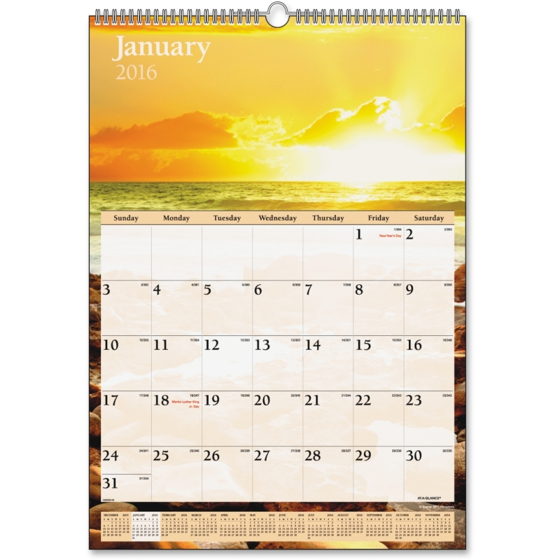 At-A-Glance At-A-Glance Scenic Monthly Wall Calendar DMW20028 AAGDMW20028