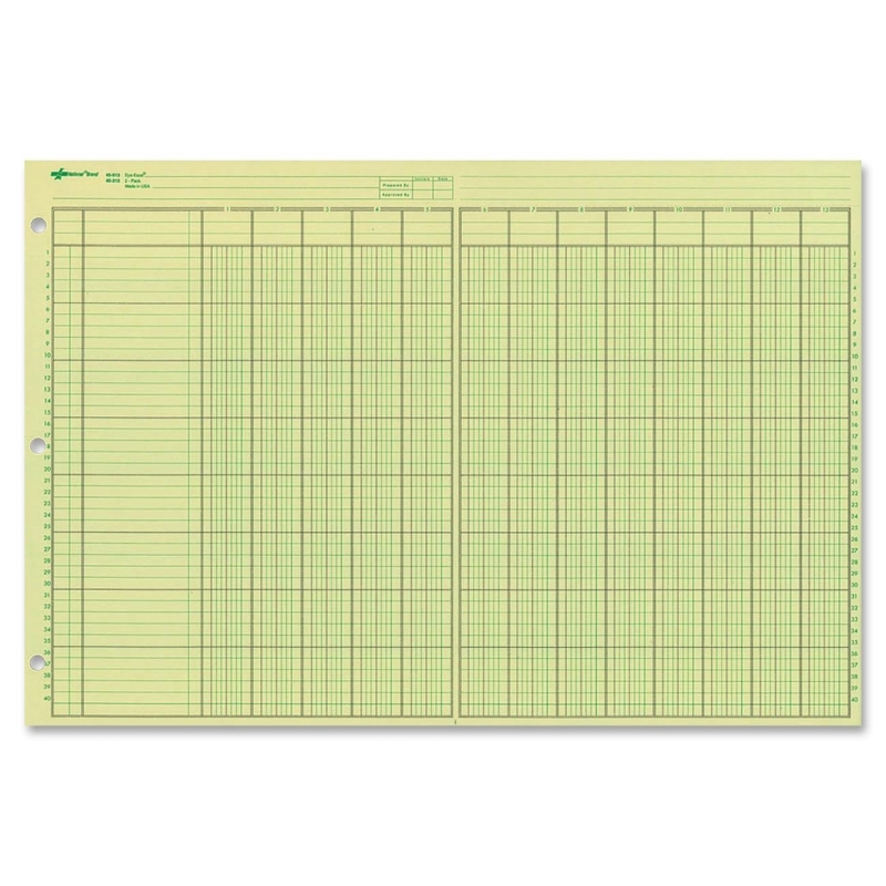 Rediform National Side Punched Analysis Pad 45613 RED45613