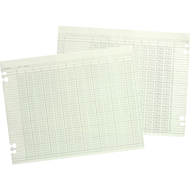 Wilson Jones Columnar Ruled Sheet WG10-16 WLJG1016