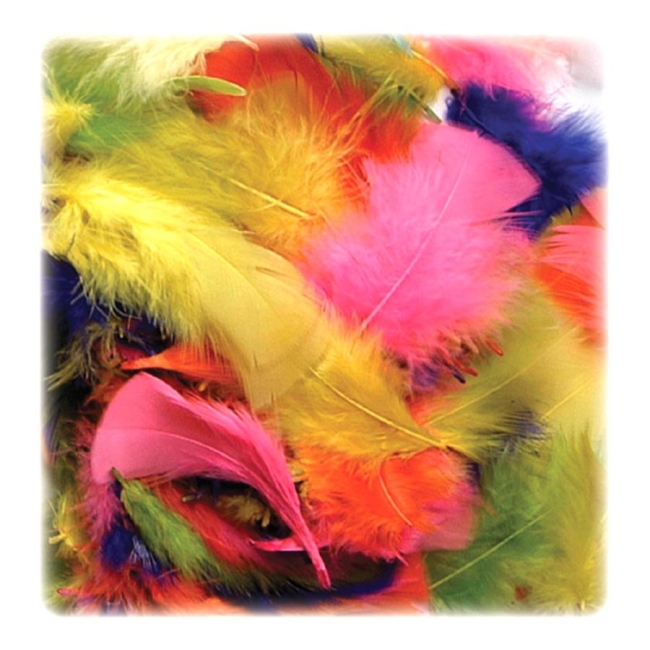 ChenilleKraft ChenilleKraft Creativity Street Plumage Feather 4502 CKC4502