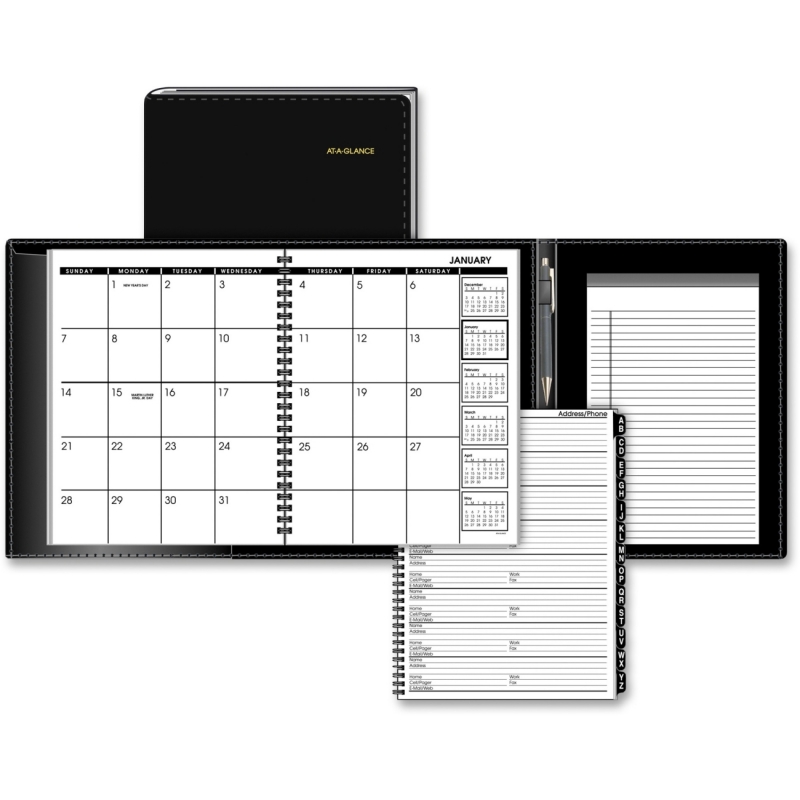 At-A-Glance At-A-Glance Monthly Appointment Book Plus 70-120P-05 AAG70120P05