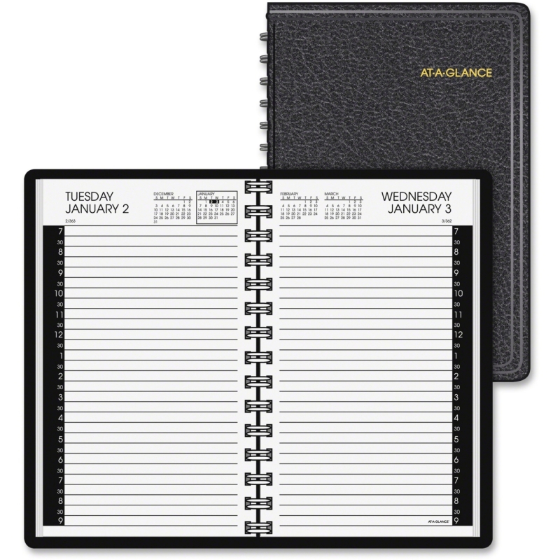 At-A-Glance At-A-Glance Professional Daily Appointment Book 70-207-05 AAG7020705