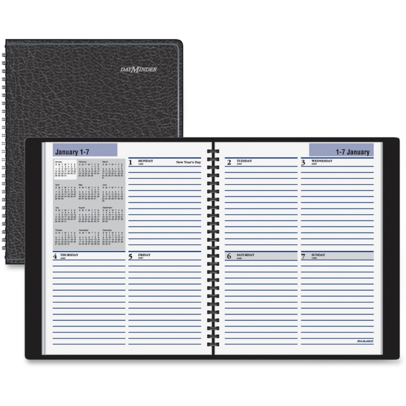 At-A-Glance At-A-Glance DayMinder Professional Weekly Planner G535-00 AAGG53500