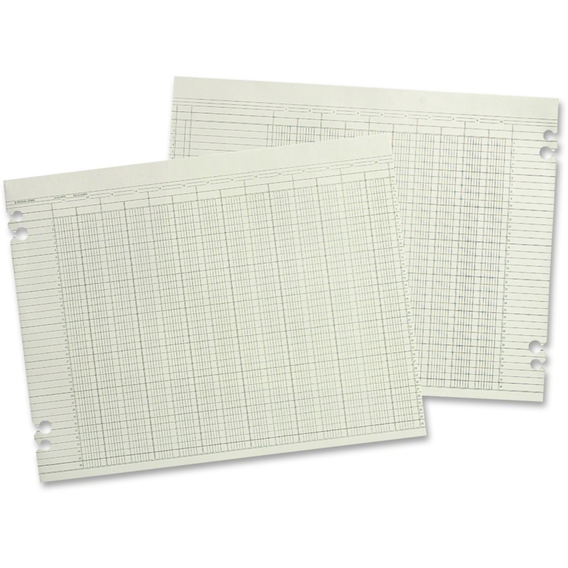 Wilson Jones Columnar Ruled Sheet WG10-10A WLJG1010