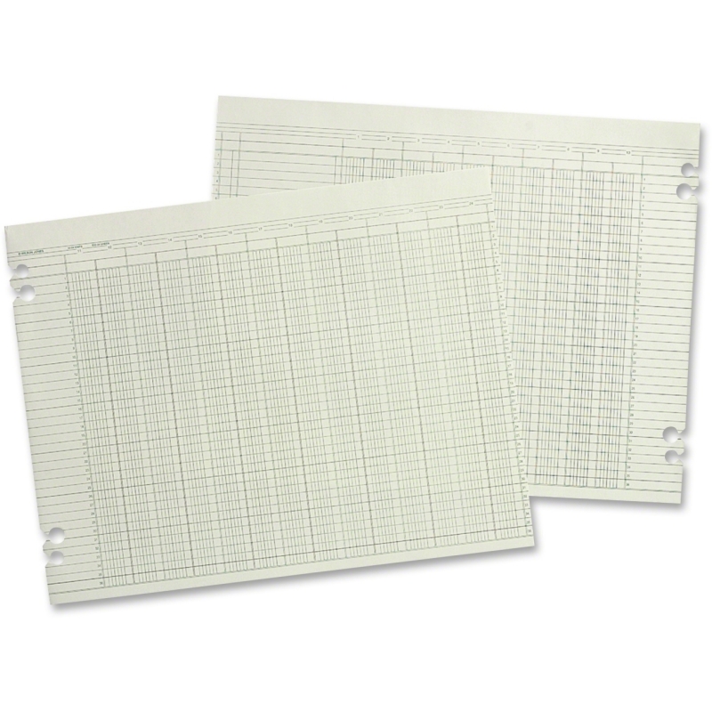 Wilson Jones Columnar Ruled Sheet WG10-10A WLJG1010