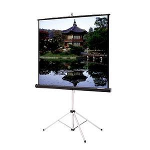 Da-Lite Picture King Portable and Tripod Projection Screen (Black carpeted) 93876