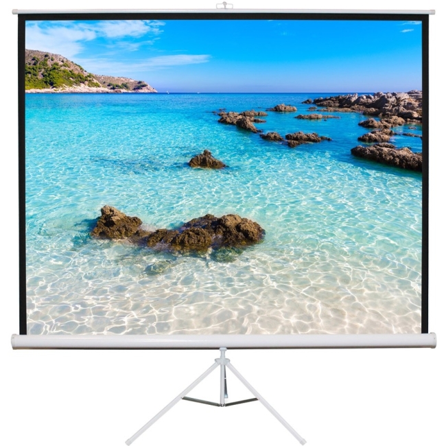 Hamilton Buhl 60x60 - Matte White Fabric - Square Format Projector Screen TPS-T60