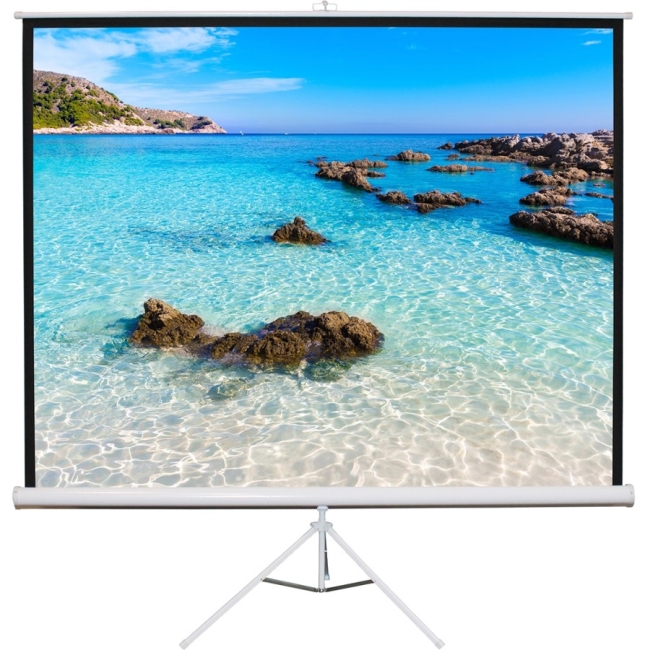 Hamilton Buhl 70x70 - Matte White Fabric - Square Format Projector Screen TPS-T70