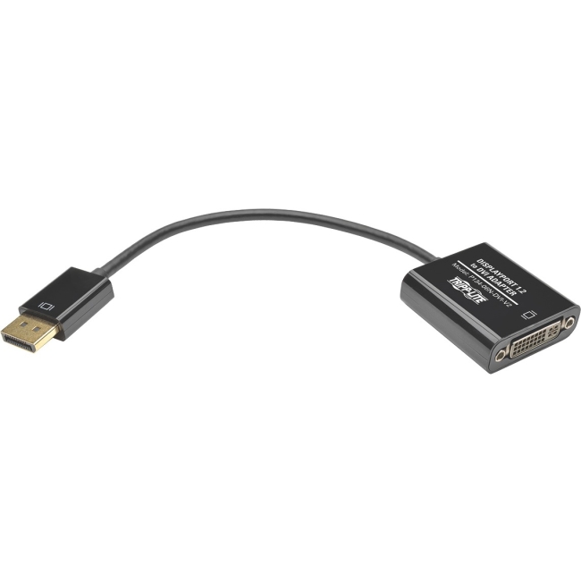 Tripp Lite DisplayPort/DVI Video Cable P134-06N-DVI-V2