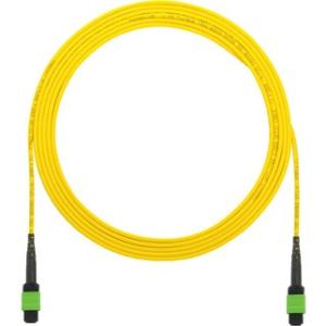 Panduit Fiber Optic Network Cable F9TRL5N5NANM010