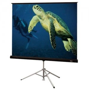 Draper Diplomat/R Projection Screen 215010