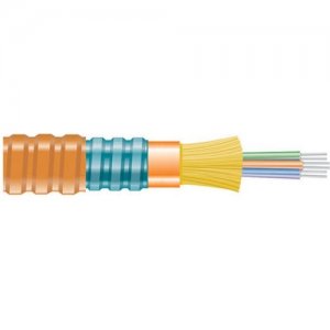 Black Box Fiber Optic Network Cable FOBC35INAM1OR06F