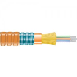 Black Box Fiber Optic Network Cable FOBC35INAM1OR24F