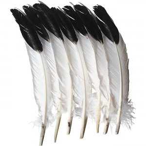 Creativity Street Imitation Eagle Feathers AC4512 PACAC4512