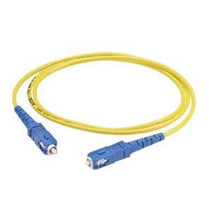 Panduit Fiber Optic Duplex Patch Cable F9E2-10M3Y