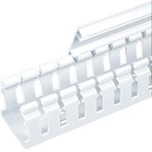 Panduit Type H Hinged Cover Wide Slot Wiring Duct H2X3WH6