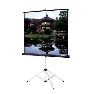 Da-Lite Picture King Portable and Tripod Projection Screen (Gray carpeted) 69895