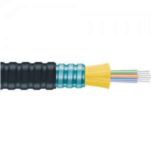 Black Box Fiber Optic Network Cable FOBC35IOASMBK24F