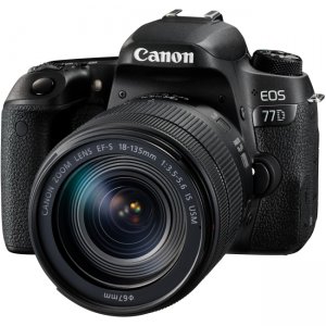 Canon EOS Digital SLR Camera with Lens 1892C002 77D