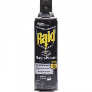 Raid Wasp/Hornet Killer Spray 668006CT SJN668006CT