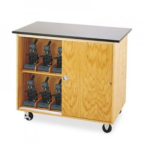 Diversified Woodcrafts Mobile Storage Cabinet, 36w x 24d x 36h, Black/Oak DVW4402K 4402K