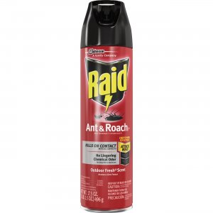 Raid Ant/Roach Killer Spray 669798CT SJN669798CT