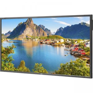 NEC Display 80" LED Backlit Commercial-Grade Display with Integrated Tuner E805-AVT2