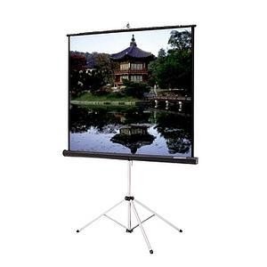 Da-Lite Picture King Portable and Tripod Projection Screen (Black carpeted) 93866