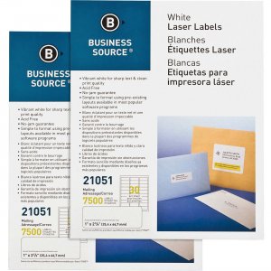 Business Source Bright White Premium-quality Address Labels 21051CT BSN21051CT