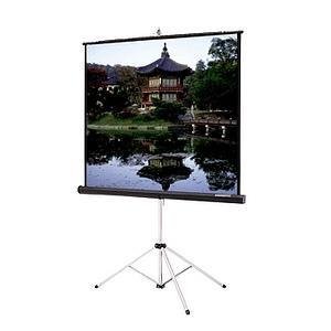 Da-Lite Picture King Portable and Tripod Projection Screen (Black Carpeted) 93886