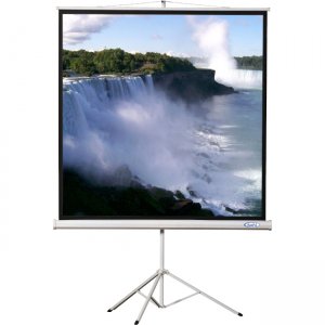 Hamilton Buhl 96x96 - Matte White Fabric - Square Format Projector Screen TPS-T96