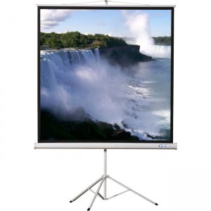 Hamilton Buhl 50x50 - Matte White Fabric - Square Format Projector Screen TPS-T50