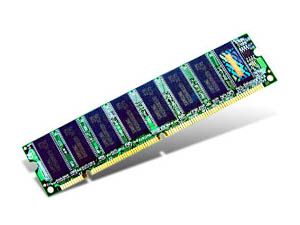 Transcend 256MB SDRAM Memory Module TS32MLS64V6F
